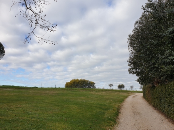 20210216_091135 (FILEminimizer)